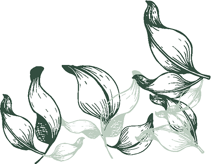 Feuille d'arbre décorative