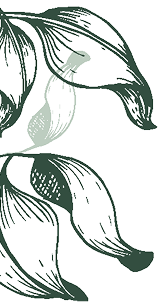 Feuille d'arbre décorative