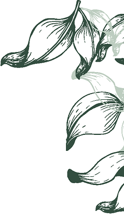 Feuille d'arbre décorative